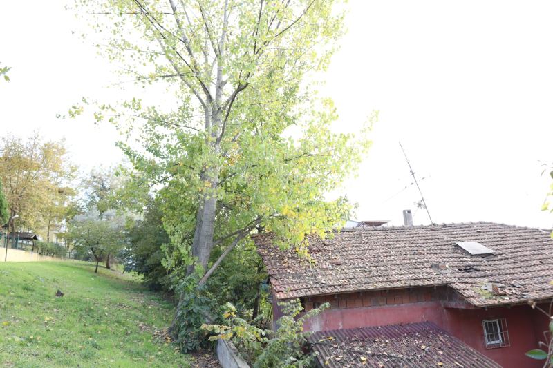 İZMİT BELEDİYESİ TEHLİKE ARZ EDEN AĞAÇLAR İÇİN ÖNLEM ALACAK