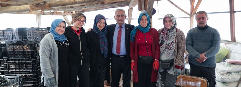 BAŞKAN IŞIK, SERA ALANINDA İNCELEMELERDE BULUNDU