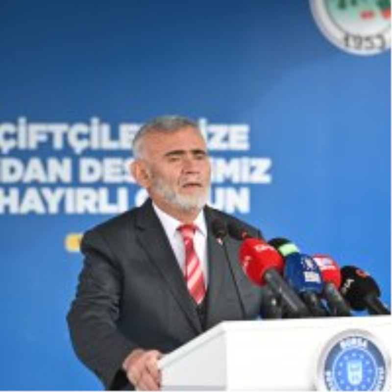 Dağ yöresi meyvecilikle kalkınıyor