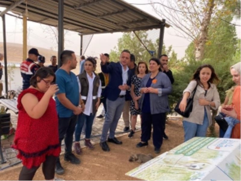 ONLAR BİZİM DİLSİZ SADIK DOSTLARIMIZ