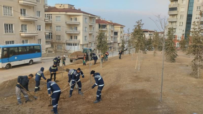 Parklarda Hummalı Çalışma