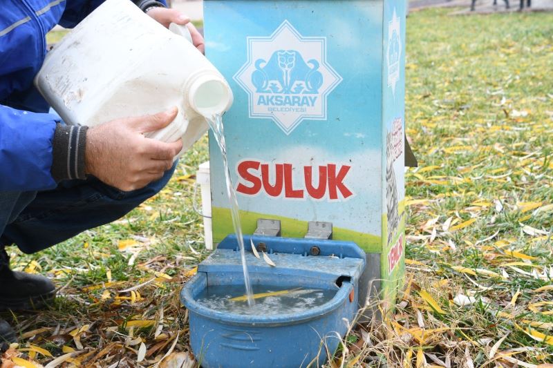 AKSARAY BELEDİYESİ SOĞUK KIŞ ŞARTLARINDA SOKAK HAYVANLARININ YANINDA
