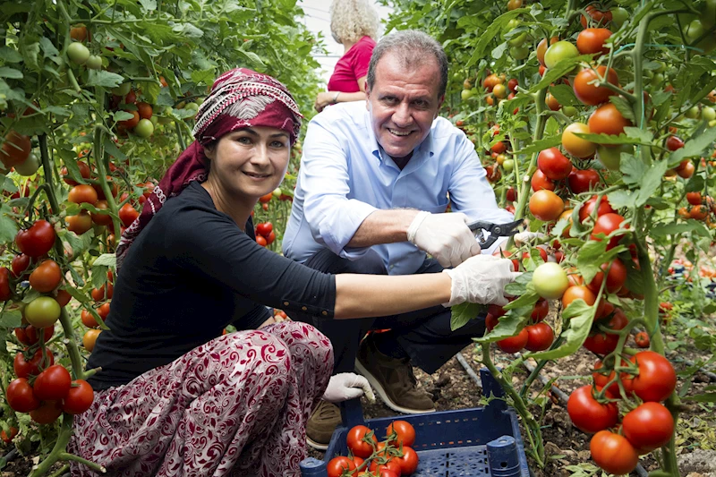 Çiftçi Kadınların Yanında Mersin Büyükşehir Var