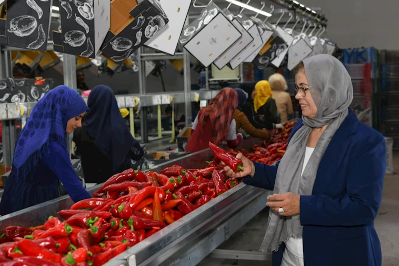 Milli Ekonominin Temeli Tarımdır.