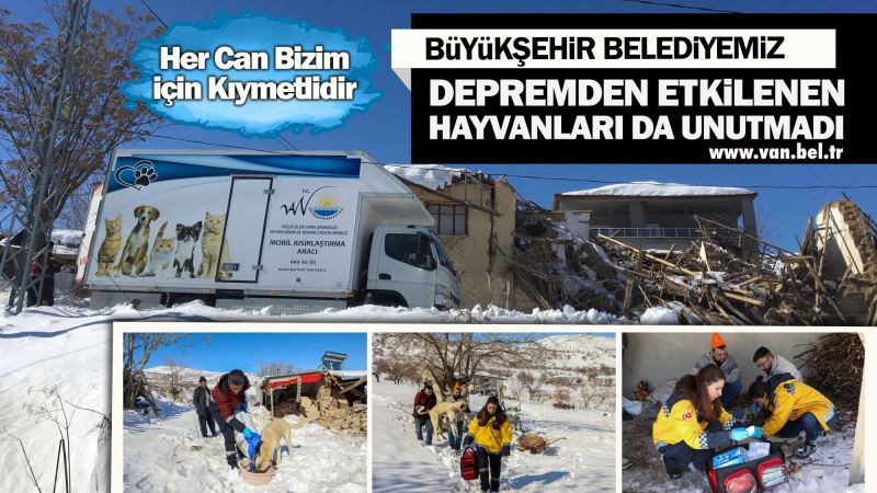 BÜYÜKŞEHİR BELEDİYEMİZ DEPREMDEN ETKİLENEN HAYVANLARI DA UNUTMADI