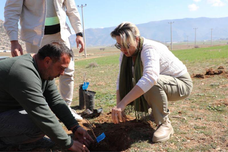 Antalya Büyükşehir Belediyesi’nden Bir İlk Korkuteli’de Antepfıstığı Yetiştiriciliği Yapılacak