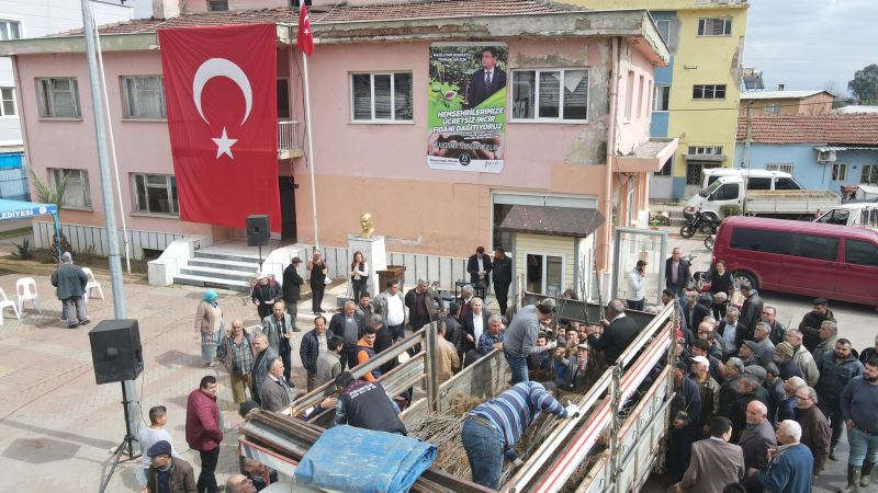Nazilli Belediyesi’nden üreticilere 30 bin incir fidanı    “NAZİLLİ YÜZYILI MİLLİ TARIM HAMLESİ”
