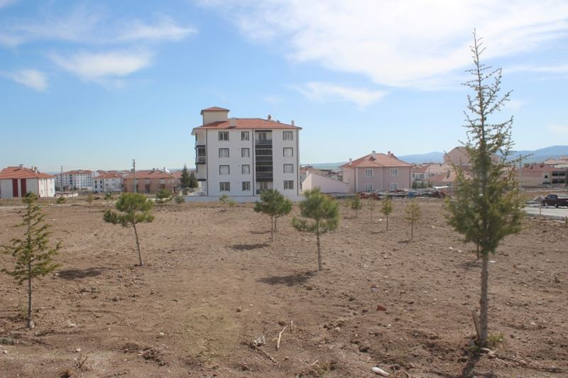 Parklardaki Ağaç Dikim Çalışmaları Devam Ediyor