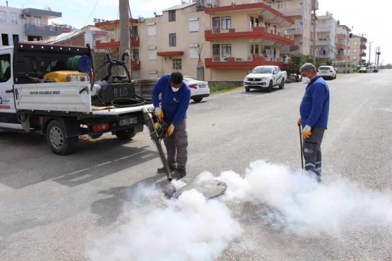 Sineksiz Yaz İçin Yoğun Mücadele