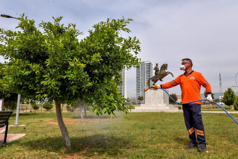 Büyükşehir, Sıcakla Birlikte İlaçlama Çalışmalarını da Artırdı