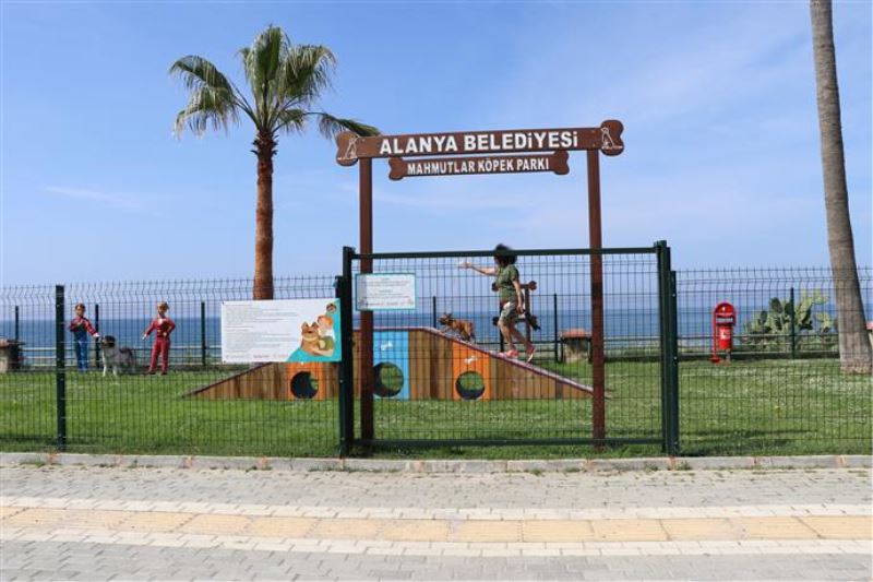 ALANYA BELEDİYESİ’NDEN PATİLİ DOSTLARIMIZ İÇİN YENİ BİR PARK