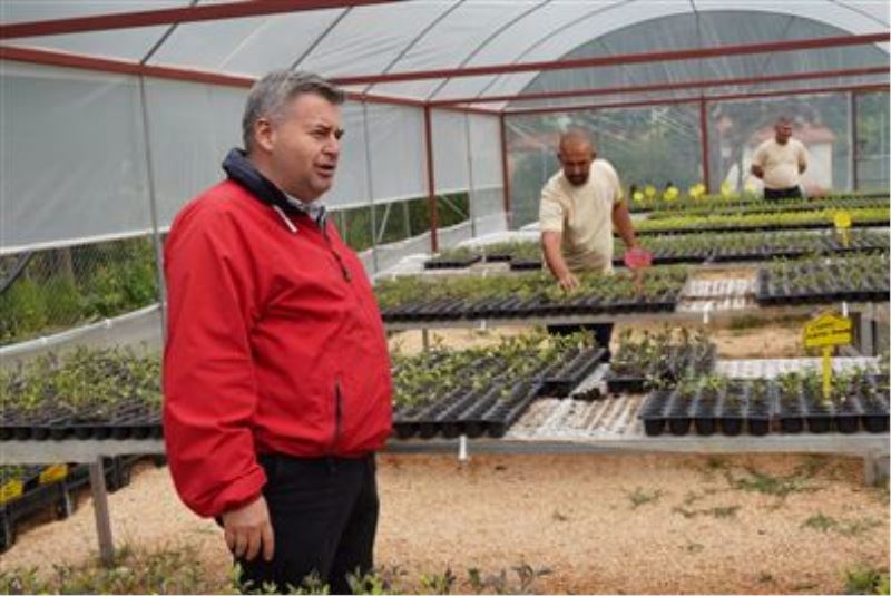 Başkan Oran yerel üreticilere fidan dağıttı