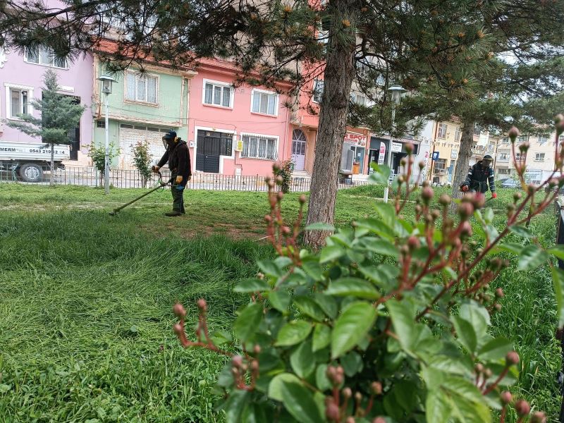 Yeter ki Çimler Büyüsün, Gerisini Biz Hallederiz