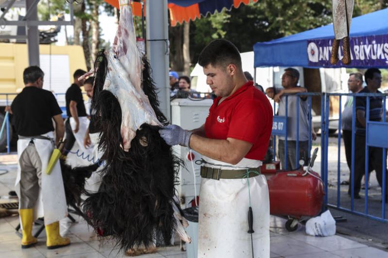 Büyükşehir’den 3 farklı noktada ücretsiz kurban kesim hizmeti