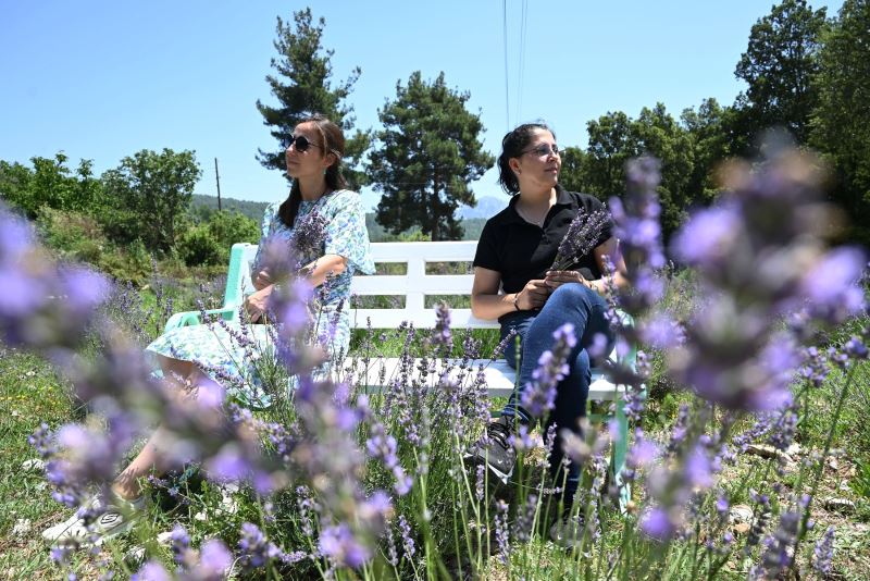 Kemer’de “Mor turizm” başlıyor