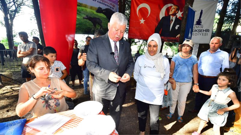 İzmir mozzarellası için üreticiye destek devam ediyor