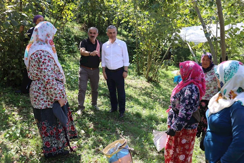 BAŞKANIMIZ FINDIK HASADI YAPAN HEMŞEHRİLERİMİZLE BİR ARAYA GELDİ