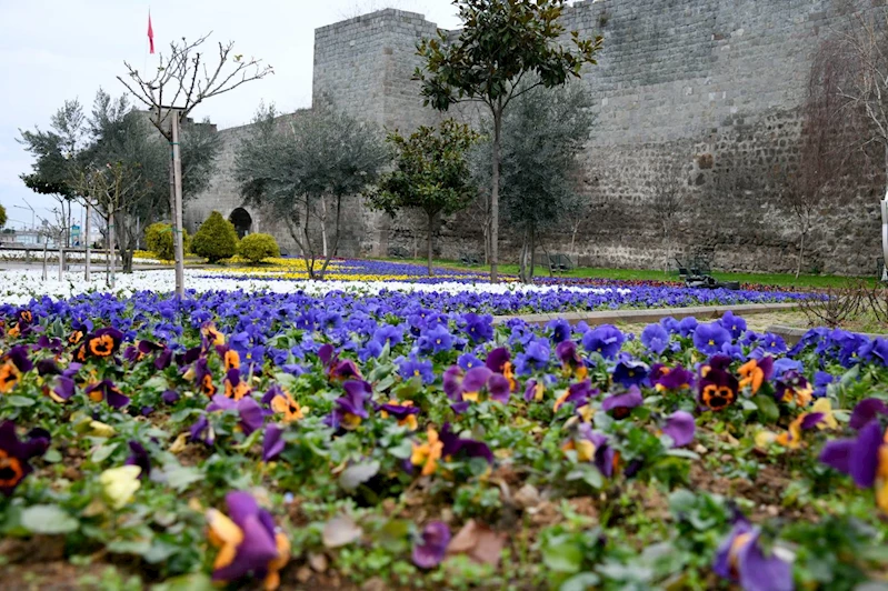 BÜYÜKŞEHİR TRABZON