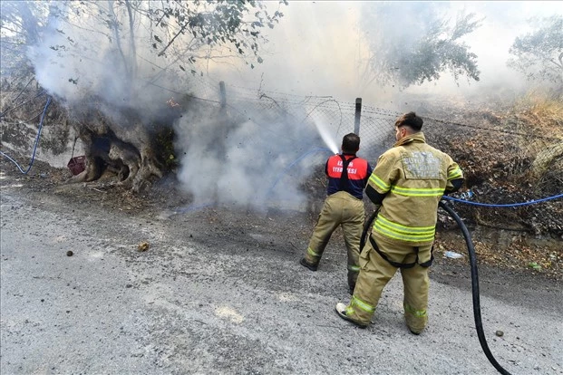 İzmir İtfaiyesi 4 günde 249 yangına müdahale etti