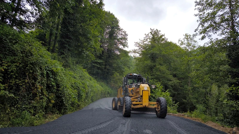 BÜYÜKŞEHİR’DEN İLÇELERDE YOL SEFERBERLİĞİ