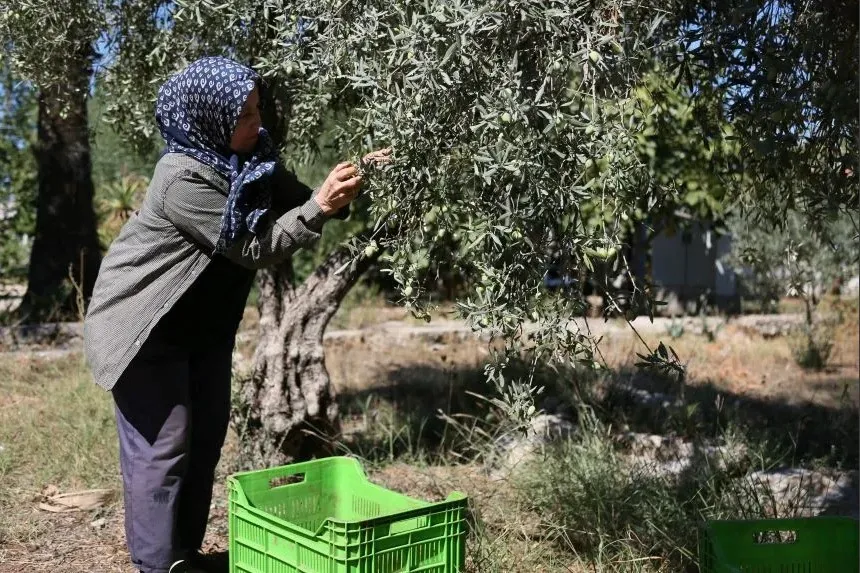 İKLİM DEĞİŞİKLİĞİ ANTALYA