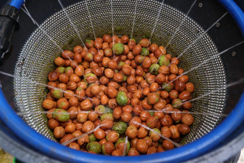 Antalya Büyükşehir Belediyesi