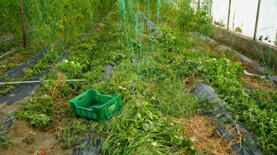 ANTALYA AKSU’DA SAĞANAK VE DOLU SERALARI DA VURDU