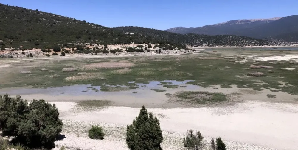 UZMANI AÇIKLADI.. ‘ANTALYA