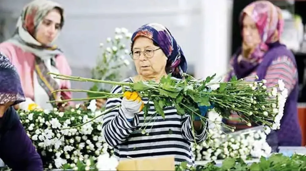 ÇİÇEK İHRACATINDA REKOR BEKLENİYOR.. EN ÇOK İHRACAT HOLLANDA’YA YAPILDI