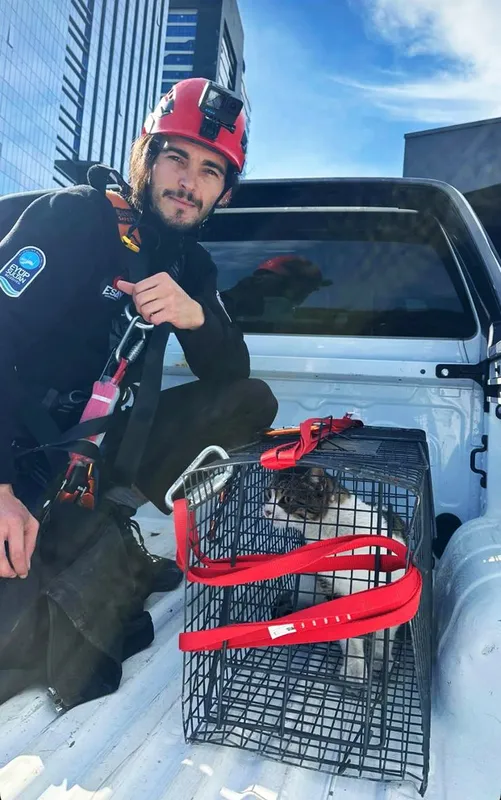 ESAY ekipleri viyadükte mahsur kalan kedi yavrusunu kurtardı