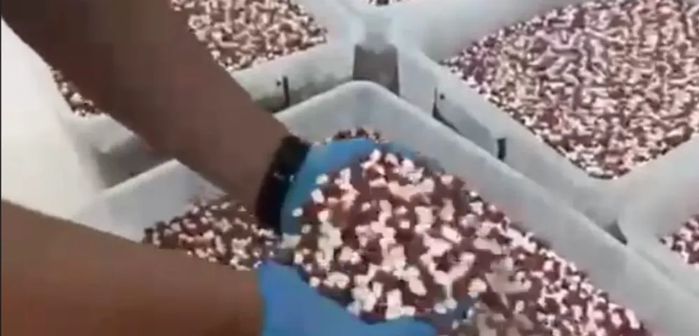 ANTALYA’DA UYUŞTURUCU 1.8 MİLYON SENTETİK ECZA HAP ELE GEÇİRİLDİ