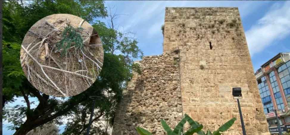 ANTALYA’DA KALEİÇİ’NİN TARİHİ SURLARI AÇIK HAVA TUVALETİNE DÖNDÜ