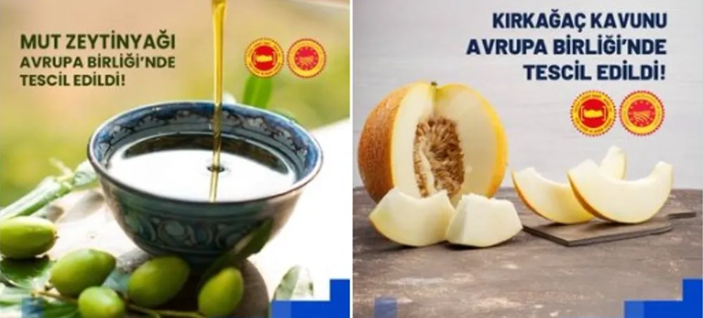 MUT ZEYTİNYAĞI VE KIRKAĞAÇ KAVUNU AB