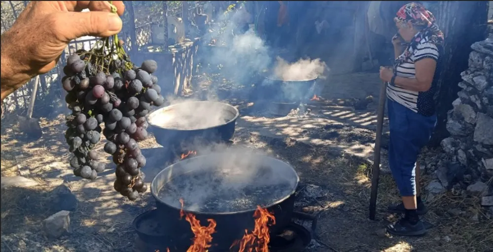 KİLOSU 500 LİRA.. ANTALYA